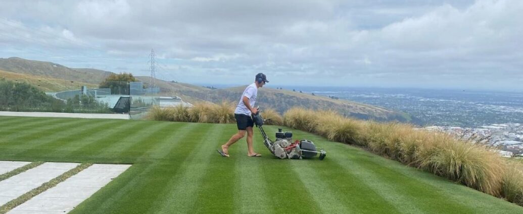 best lawn in NZ