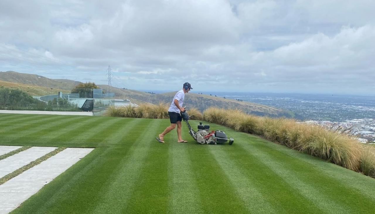 best lawn in NZ