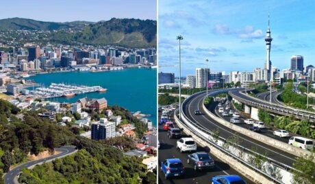 Wellington & Auckland