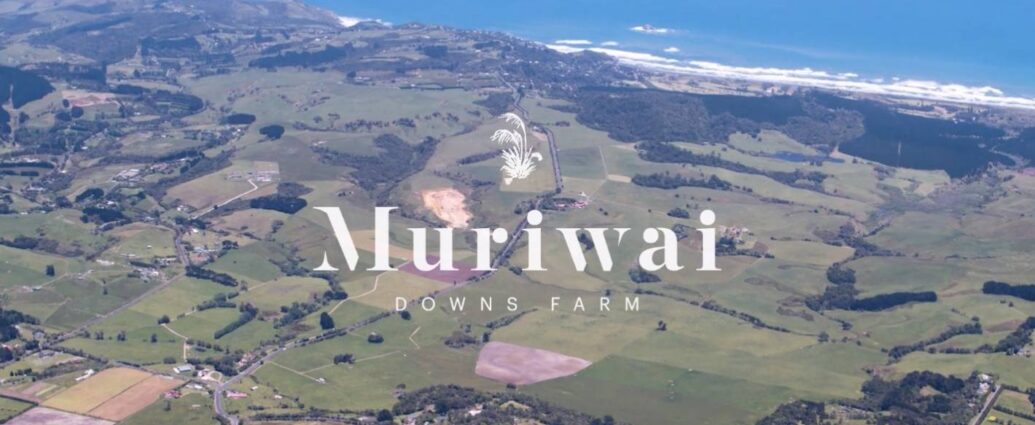 Muriwai Downs