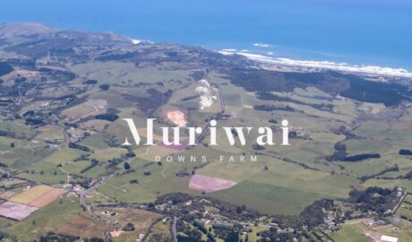 Muriwai Downs