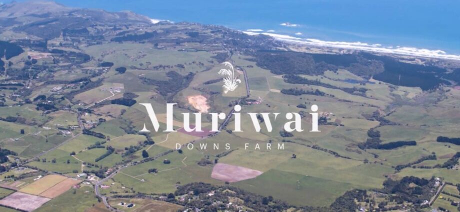 Muriwai Downs