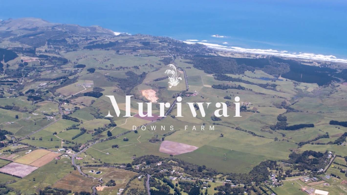 Muriwai Downs