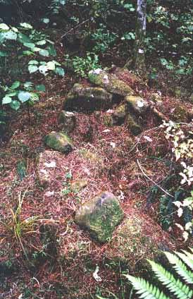 waipoua forest stone ruins