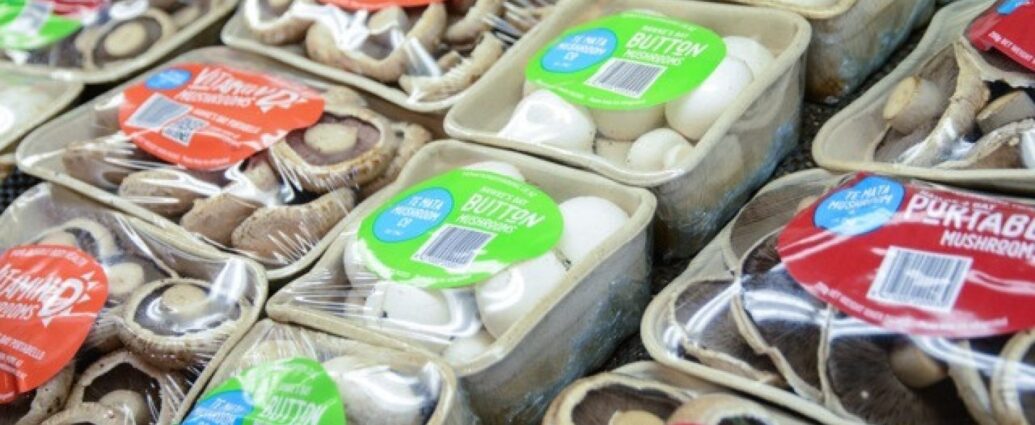 Te Mata Mushrooms