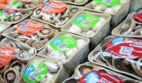 Te Mata Mushrooms