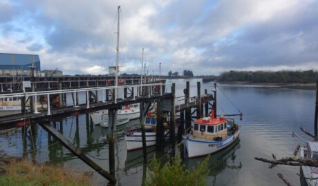 Westport