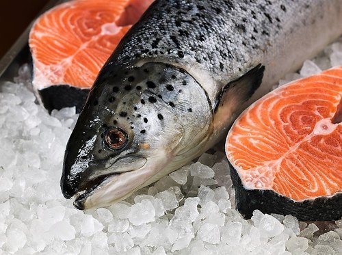 land-based salmon farm