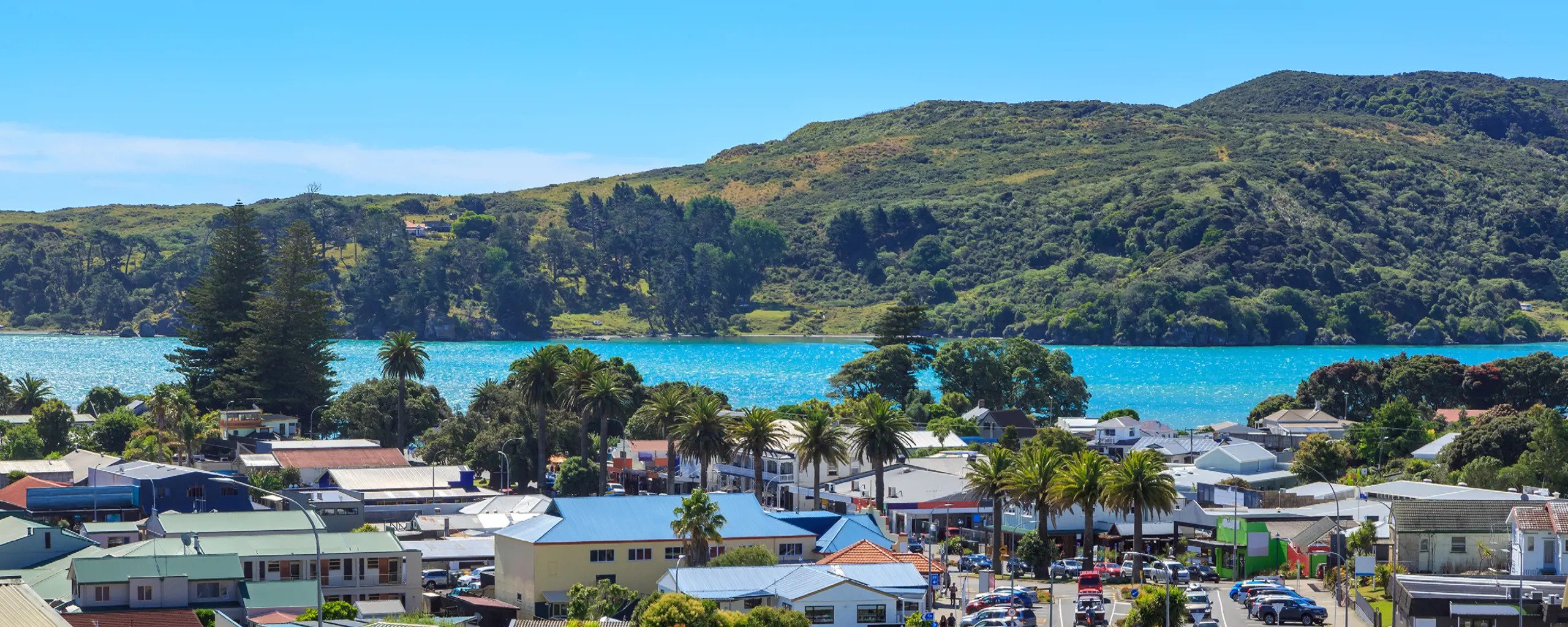 Raglan