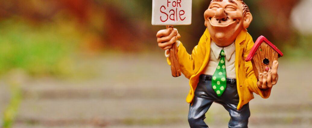 Real Estate Agent