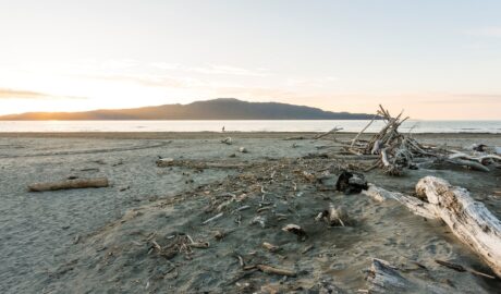Kāpiti Coast