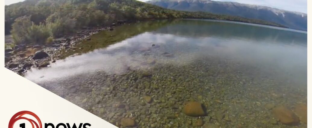 NZ lakes