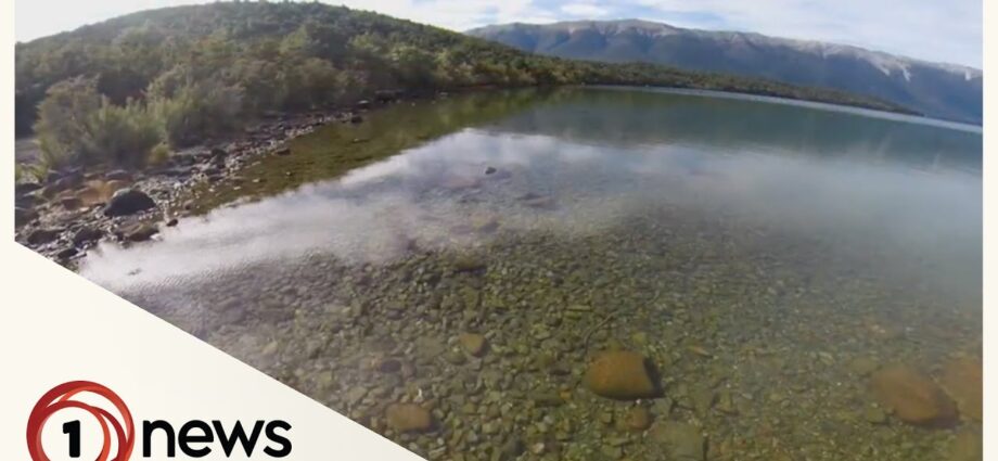 NZ lakes