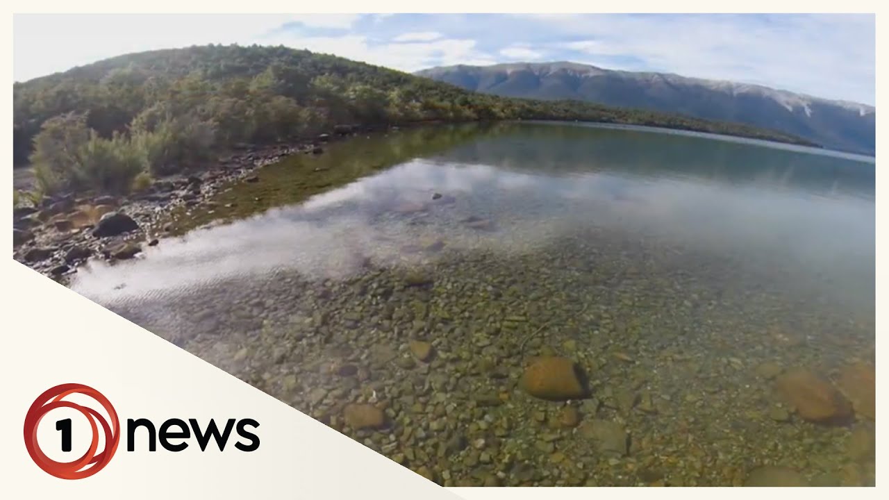 NZ lakes