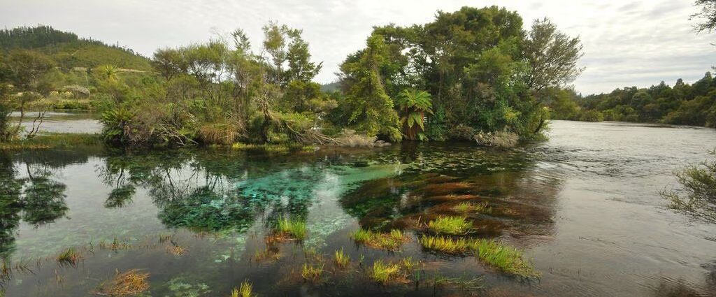 Te Waikoropupu Springs