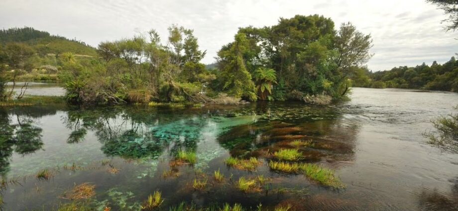 Te Waikoropupu Springs