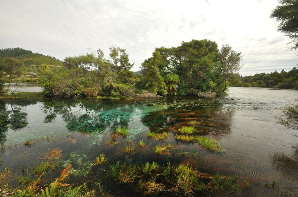 Te Waikoropupu Springs