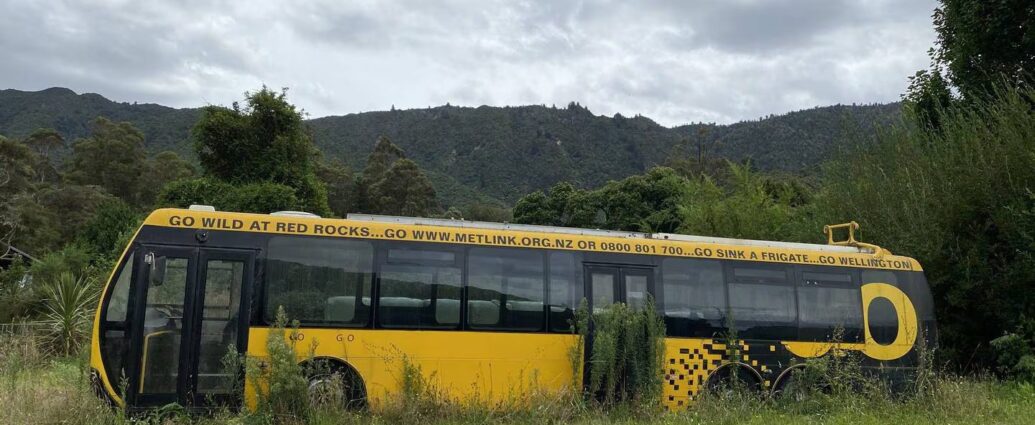 buses