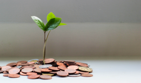 Wealth Creation