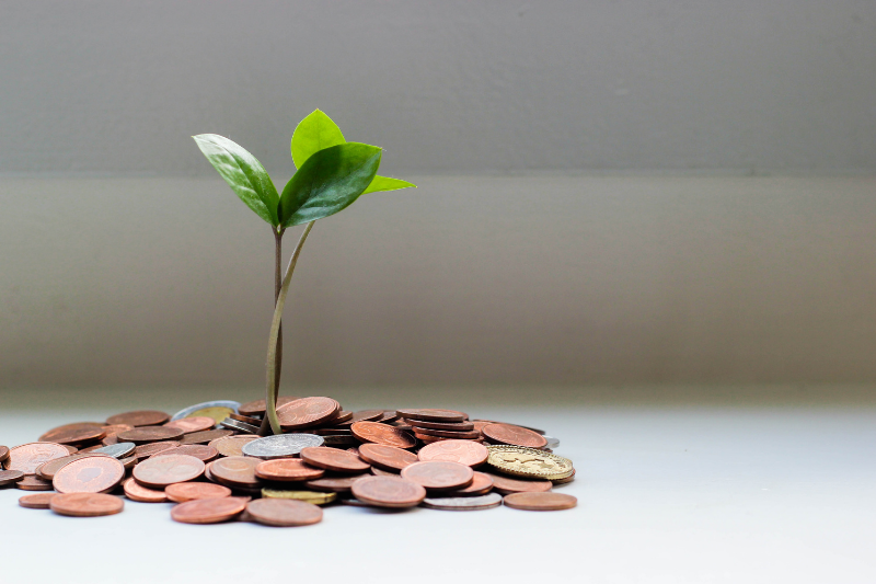 Wealth Creation