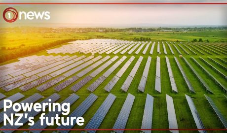 NZ's largest solar farm
