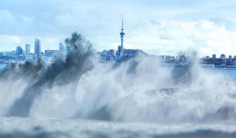 Auckland tsunami