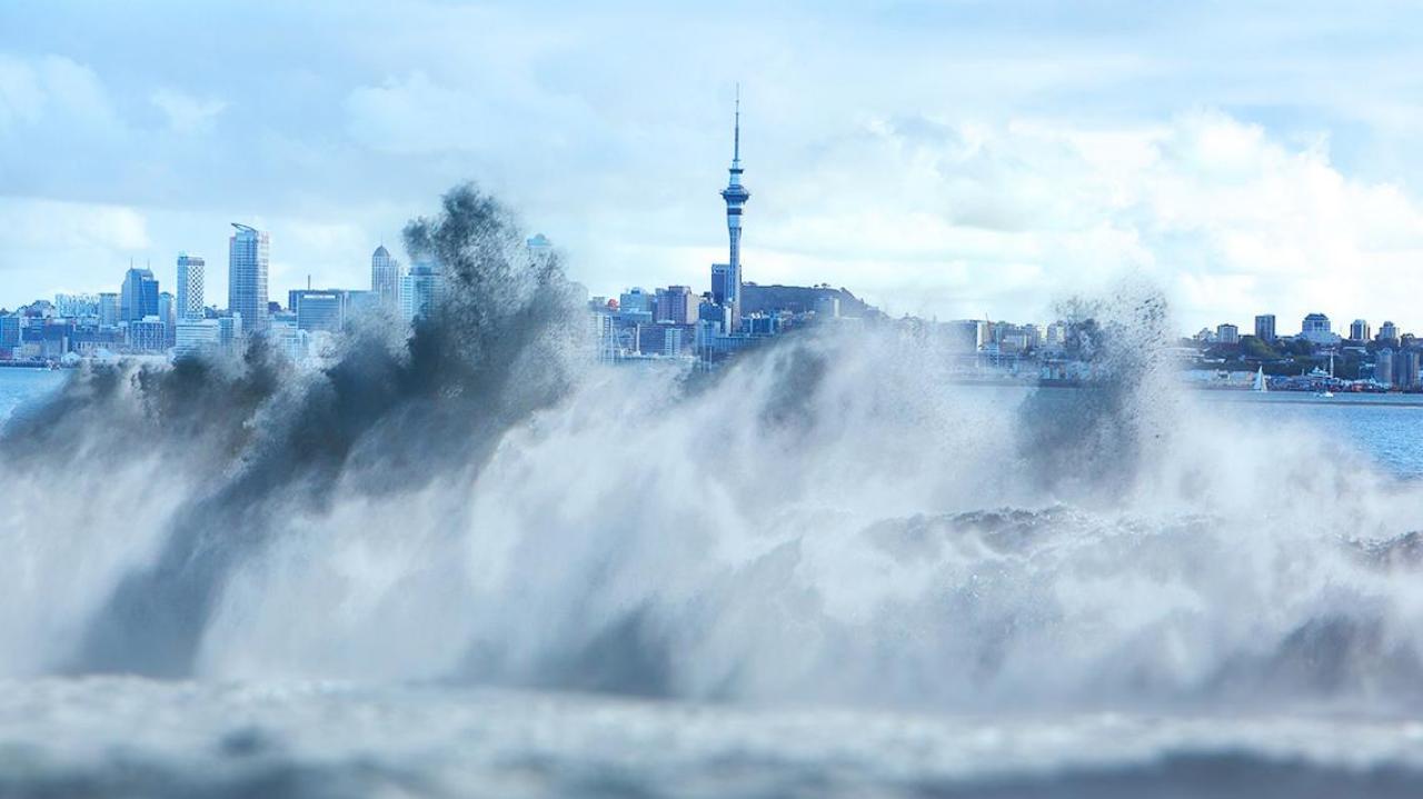 Auckland tsunami
