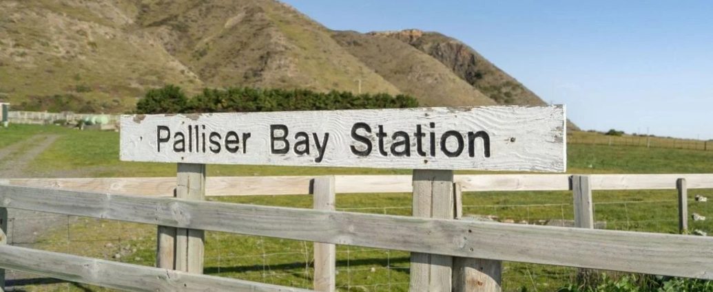 Palliser Bay Station