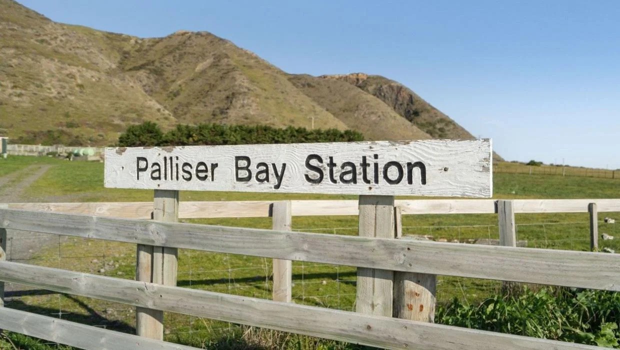 Palliser Bay Station