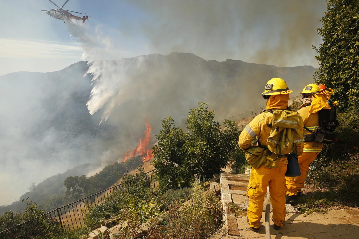 Wildfire Ravages California's Pacific Palisades