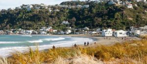 Lyall Bay