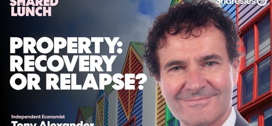 Tony Alexander on property–recovery or relapse