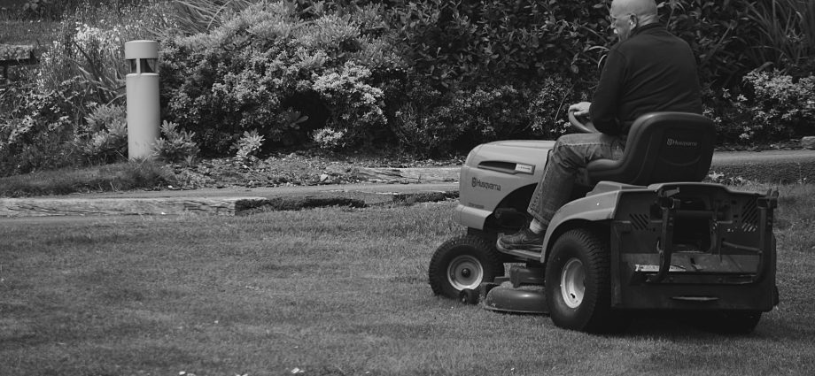 Photo by hermaion REVEL: https://www.pexels.com/photo/man-riding-a-lawn-mower-vehicle-173552/