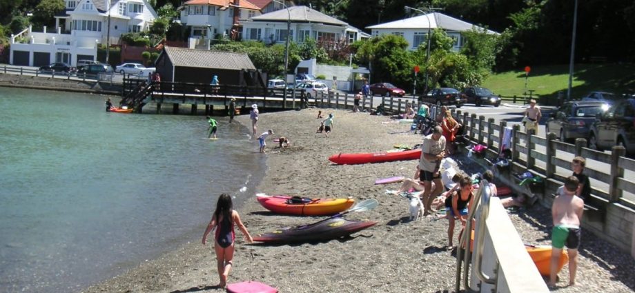 Hataitai Beach