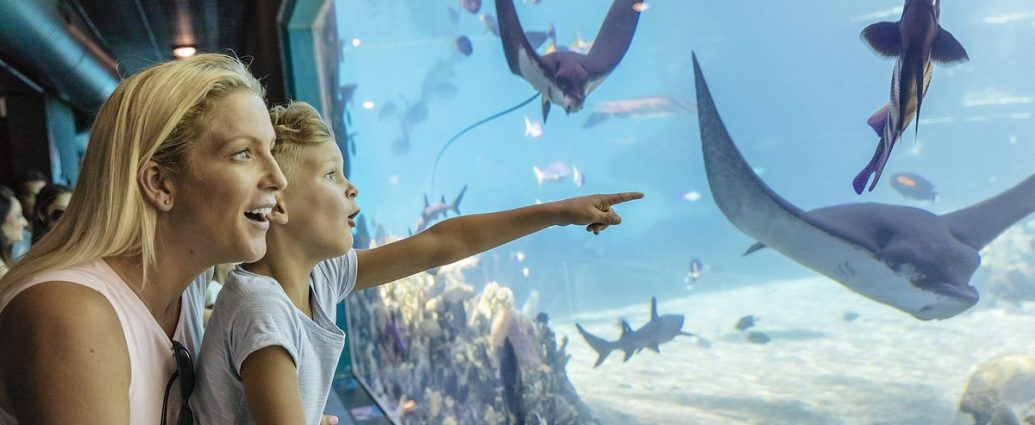 Sea World