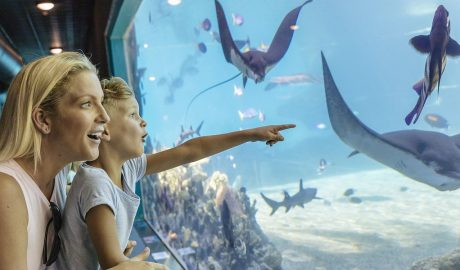 Sea World