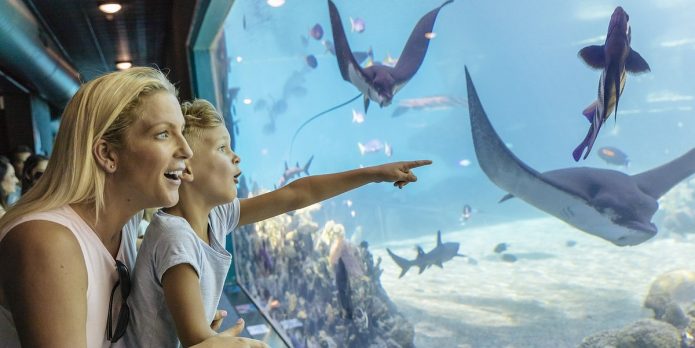 Sea World