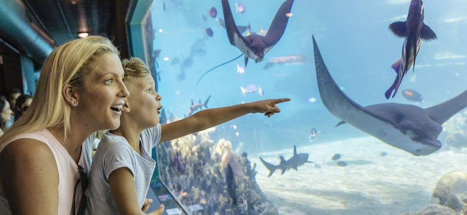 Sea World