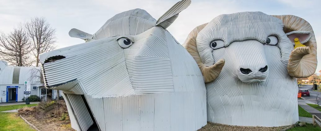 Tīrau's Iconic Sheep Buildings
