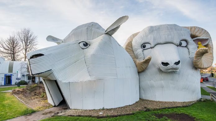 Tīrau's Iconic Sheep Buildings