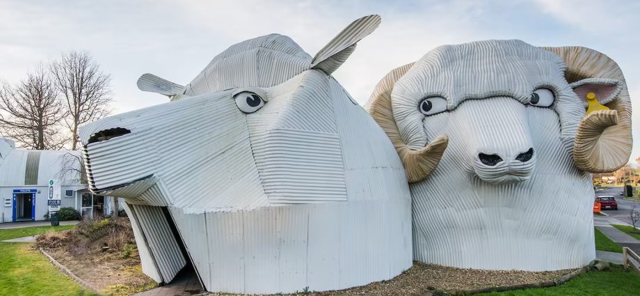 Tīrau's Iconic Sheep Buildings