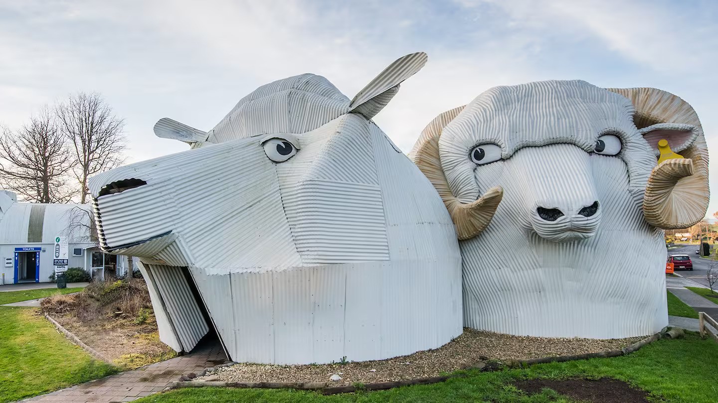 Tīrau's Iconic Sheep Buildings