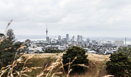 Auckland property