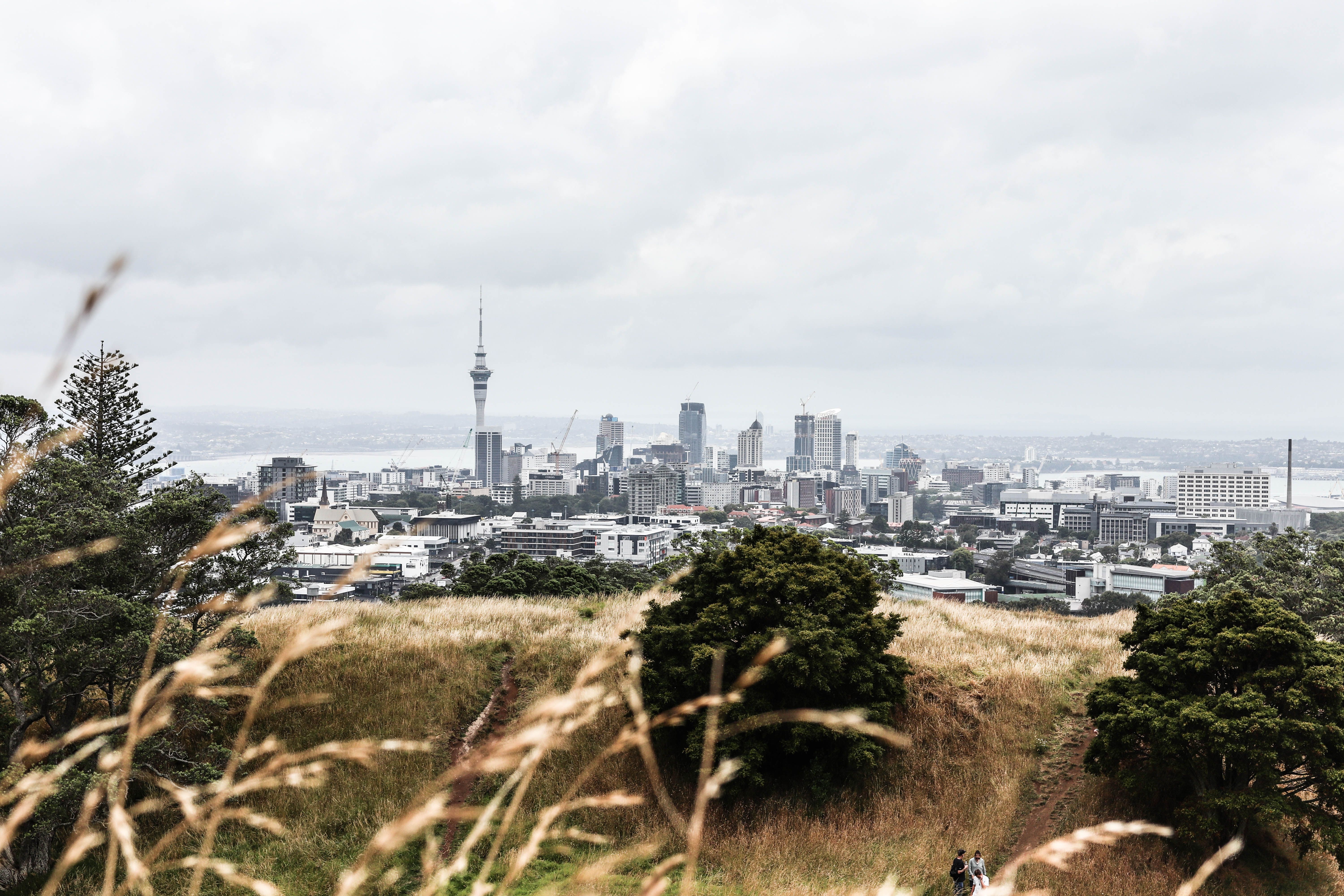 Auckland property