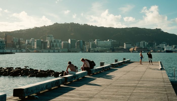 Wellington cityscape illustrating the capital’s competitive real estate market.