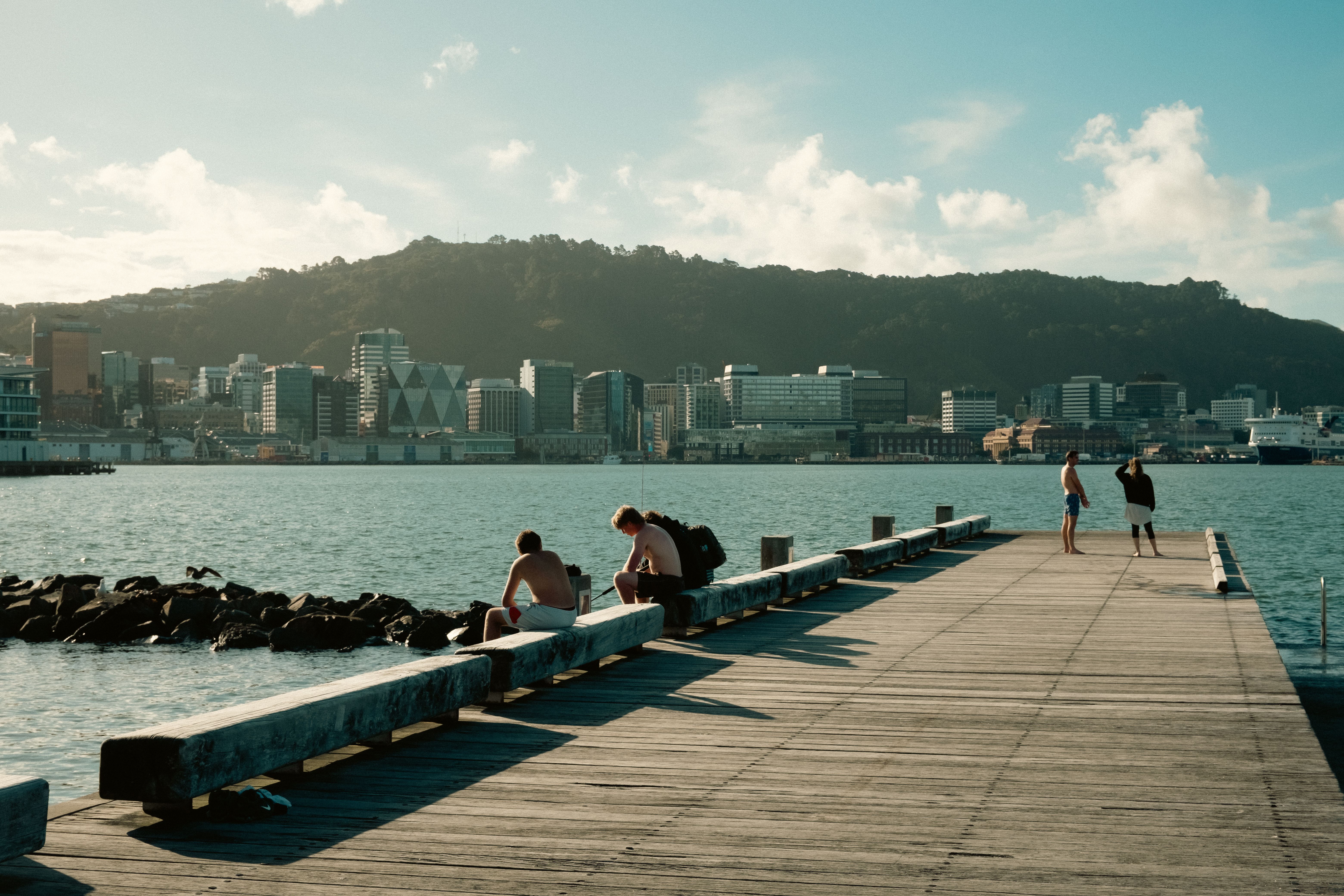 Wellington cityscape illustrating the capital’s competitive real estate market.